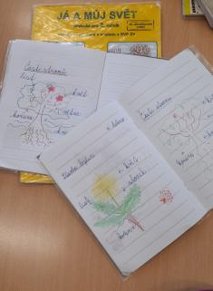 Nahlédnutí do  2.A