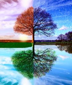 Praktické činnosti 7.tř.