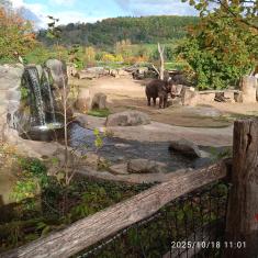 4.B ZOO Praha