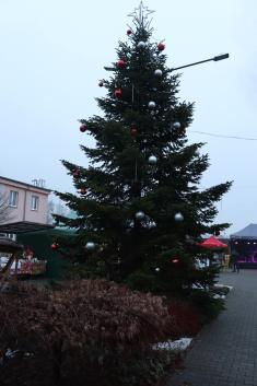 Rozsvícení vánočního stromu ve Světci,v Ledvicích, v Hostomicích 