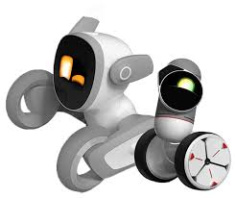 5. ročník Projektový den s roboty