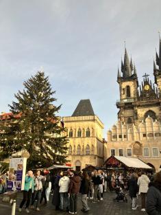 Exkurze v Praze německy?