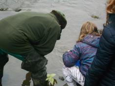 Vypouštění ryb do řeky Bíliny