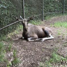 4.B Zoopark Chomutov