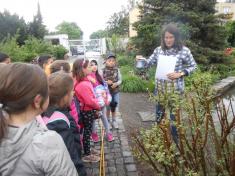 Botanická zahrada v Teplicích